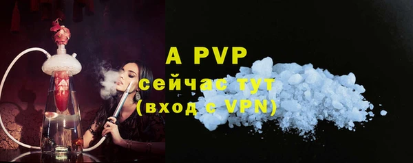 a pvp Гусев